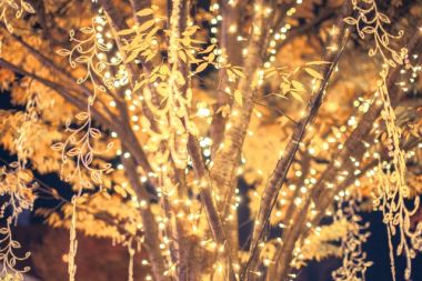 もうすぐクリスマス!これまでのクリスマスコラムまとめ