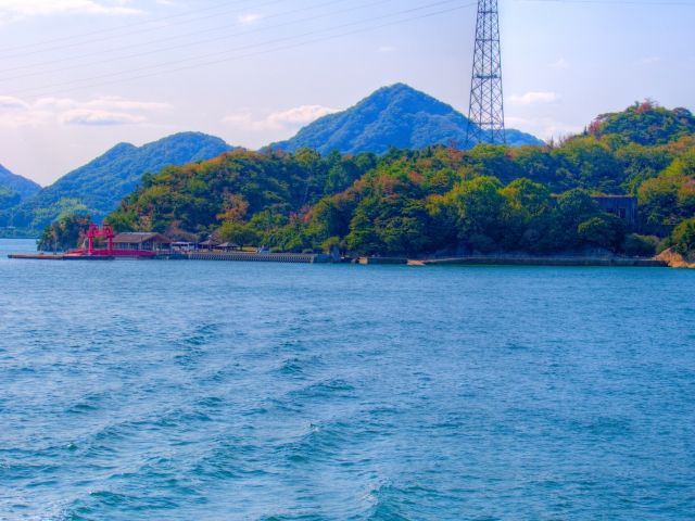 魅力溢れるうさぎ島