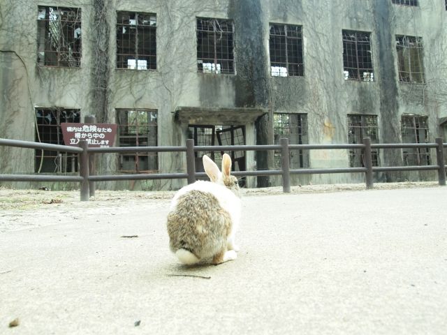 うさぎ島おすすめスポット④歴史遺産