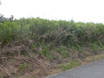 遊休農地とはどういった土地?最適な活用方法を選ぼう