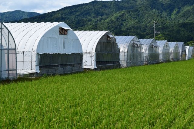 農地転用できない土地・できる土地の違いとは？