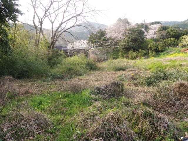 荒廃農地とはどういった土地?