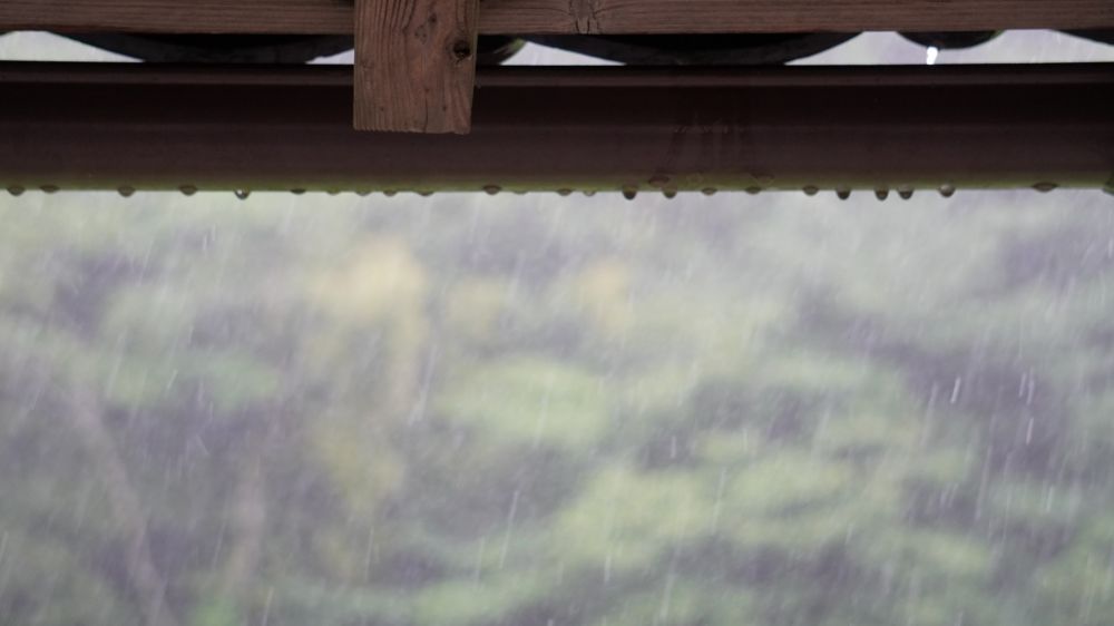 梅雨の湿気で起きる悩みとは？