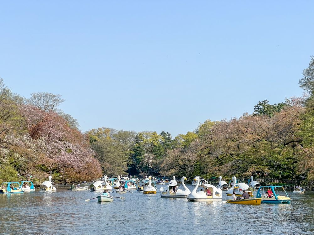 吉祥寺周辺で家族にオススメなお出かけスポット