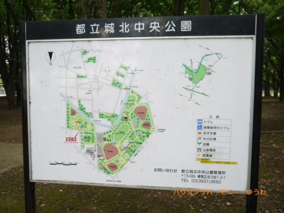 東京都立　城北中央公園の画像