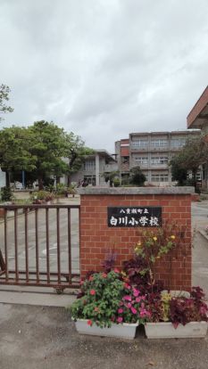 八重瀬町立 白川小学校の画像