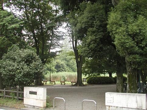  善福寺公園の画像