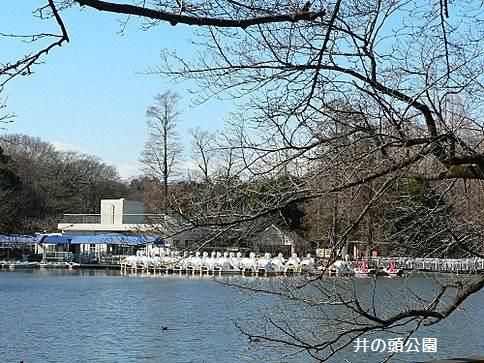 井の頭公園の画像