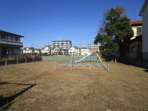 上蛭田公園の画像