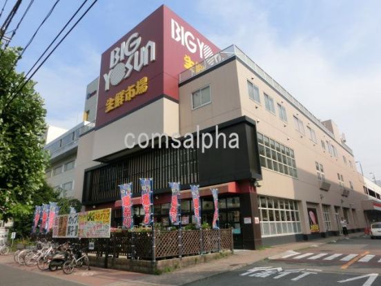 ビッグヨーサン綱島樽町店の画像