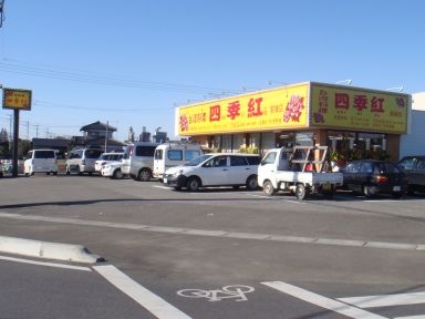 四季紅　結城店の画像