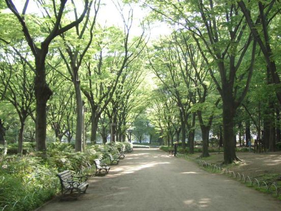 靭公園（東園）の画像