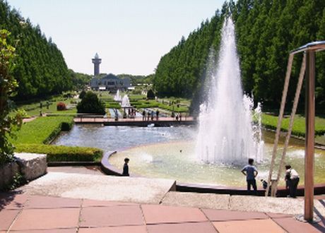 県立相模原公園の画像