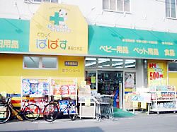 ぱぱす　東四つ木店の画像