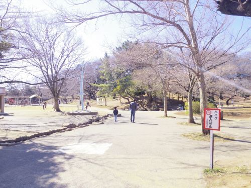 梶ヶ谷第一公園の画像