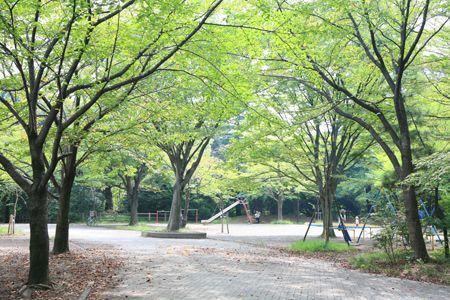 綱島公園の画像