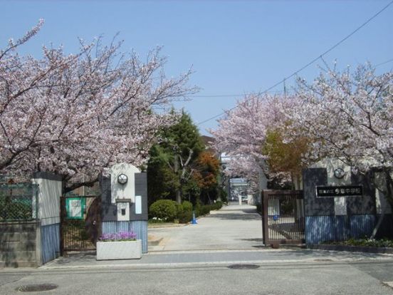 大阪市立今津中学校の画像