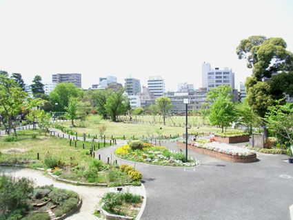 中目黒公園 の画像