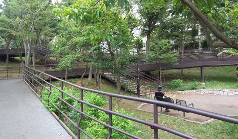 若林公園 の画像