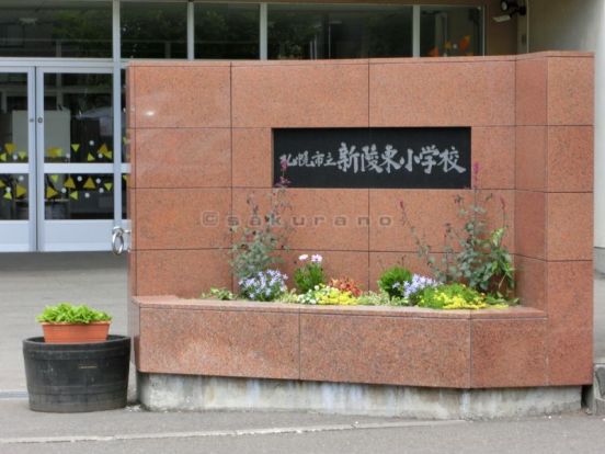 札幌市立 新陵東小学校の画像
