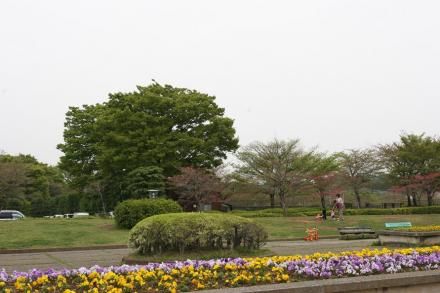 松戸運動公園の画像