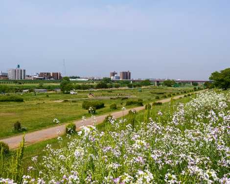 多摩川遊園の画像