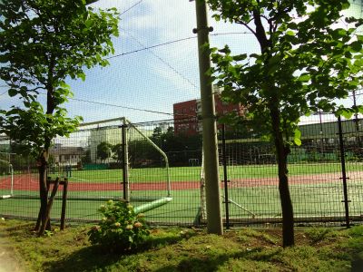 品川区立品川中央公園の画像