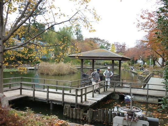 白幡池公園の画像