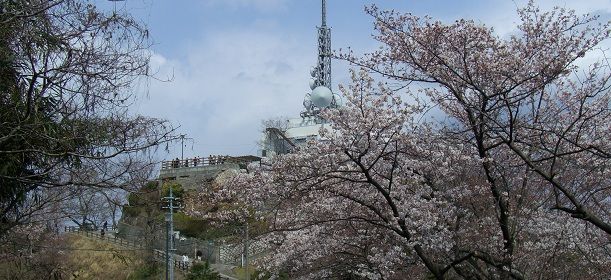 空城山公園の画像