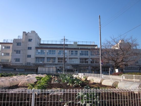 練馬区立 泉新小学校の画像