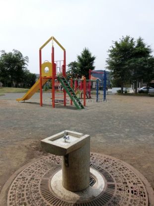 前田すみれ公園の画像