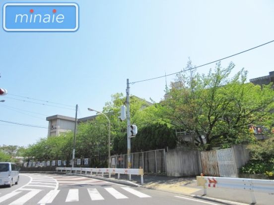 習志野市立 谷津南小学校の画像