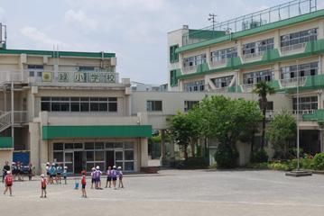 小金井市立 緑小学校の画像