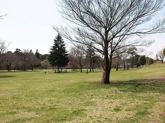 国分寺公園の画像