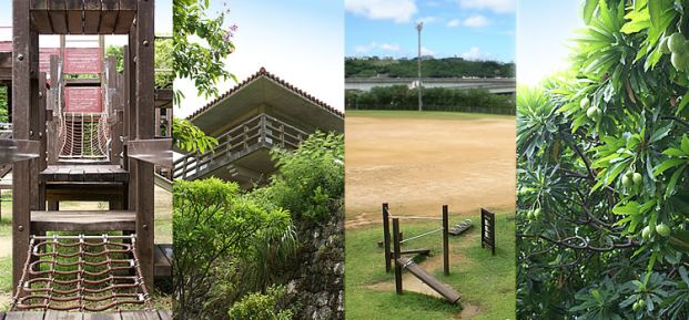 宮城公園の画像