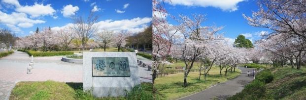 平和公園の画像