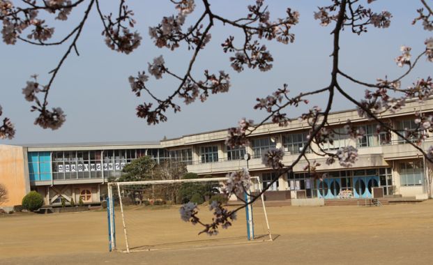 龍ケ崎市立 松葉小学校の画像