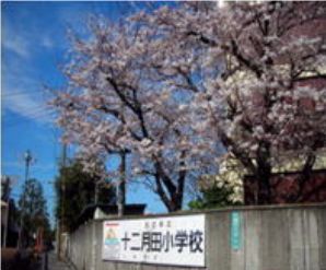 川口市立十二月田小学校の画像