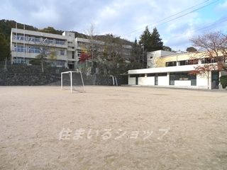 向原小学校の画像