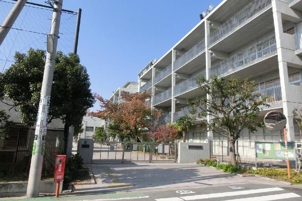 世田谷区立船橋小学校の画像