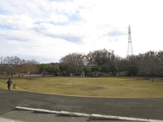 わらび近隣公園の画像