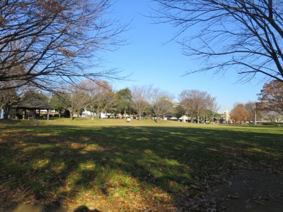 山王町公園の画像