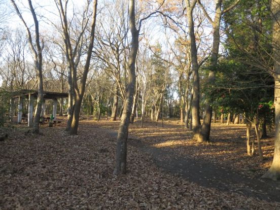 栗山小鳥の森の画像