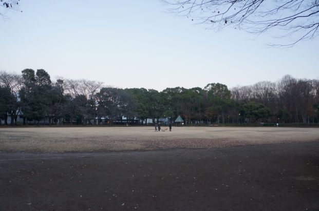 千代田公園の画像
