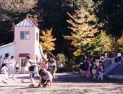 真理学園幼稚園の画像