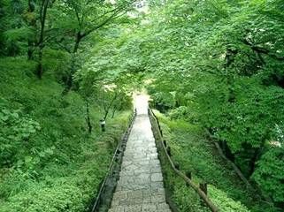 田園調布せせらぎ公園の画像