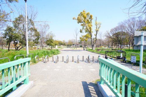 久宝寺緑地の画像