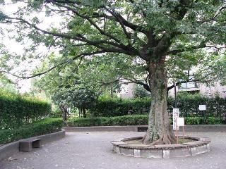 東山街かど公園の画像