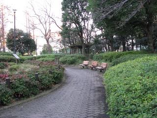 目黒区民センター公園の画像