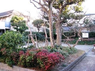 五本木二丁目街かど公園の画像